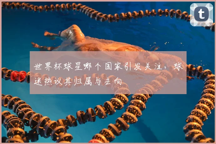 世界杯球星哪个国家引发关注，球迷热议其归属与去向