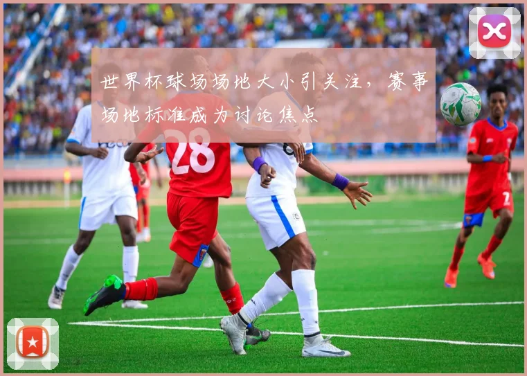 世界杯球场场地大小引关注，赛事场地标准成为讨论焦点