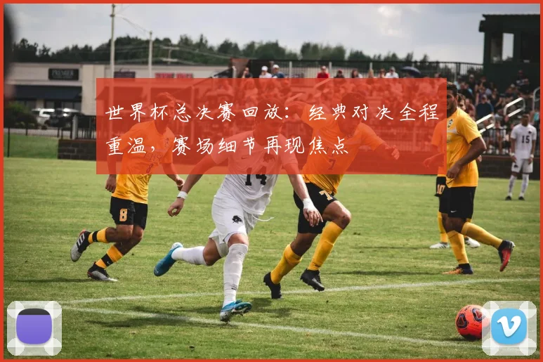世界杯总决赛回放：经典对决全程重温，赛场细节再现焦点